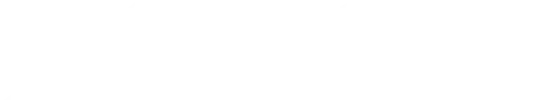 BELGEE X50+